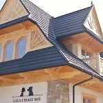 Lala I Bialy Mis Zakopane