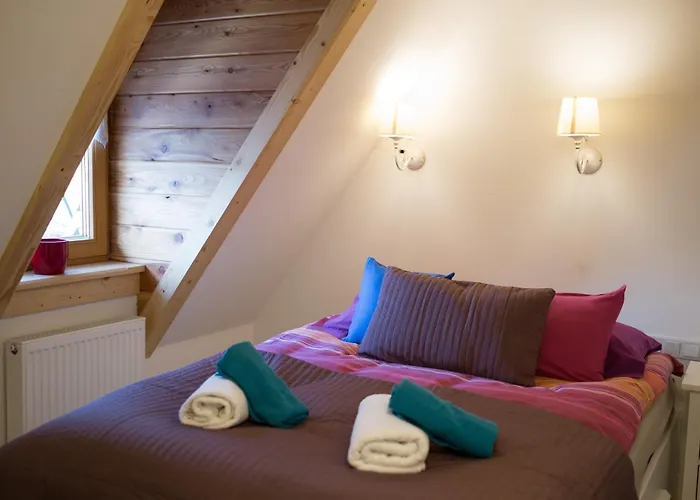 公寓 Lala I Bialy Mis 扎科帕内