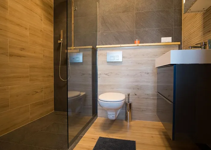 公寓 Lala I Bialy Mis 扎科帕内