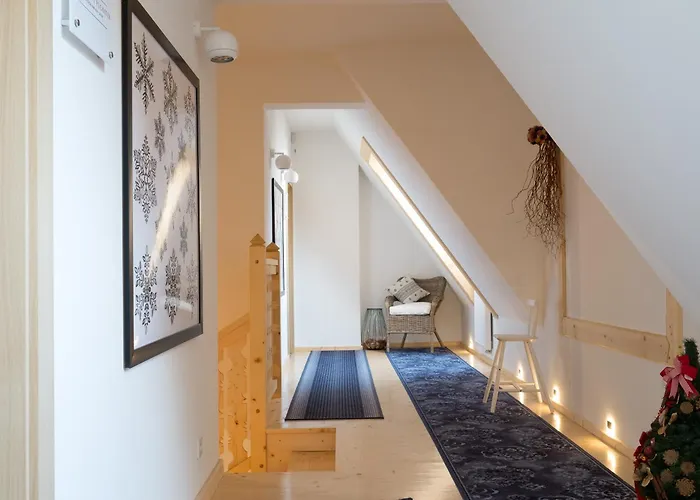 Lala I Bialy Mis 扎科帕内