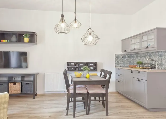 公寓 Lala I Bialy Mis 扎科帕内