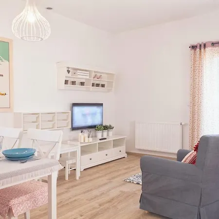 Lala I Bialy Mis Zakopane