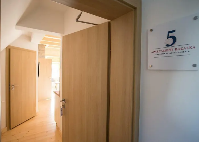 Lala I Bialy Mis זקופאנה